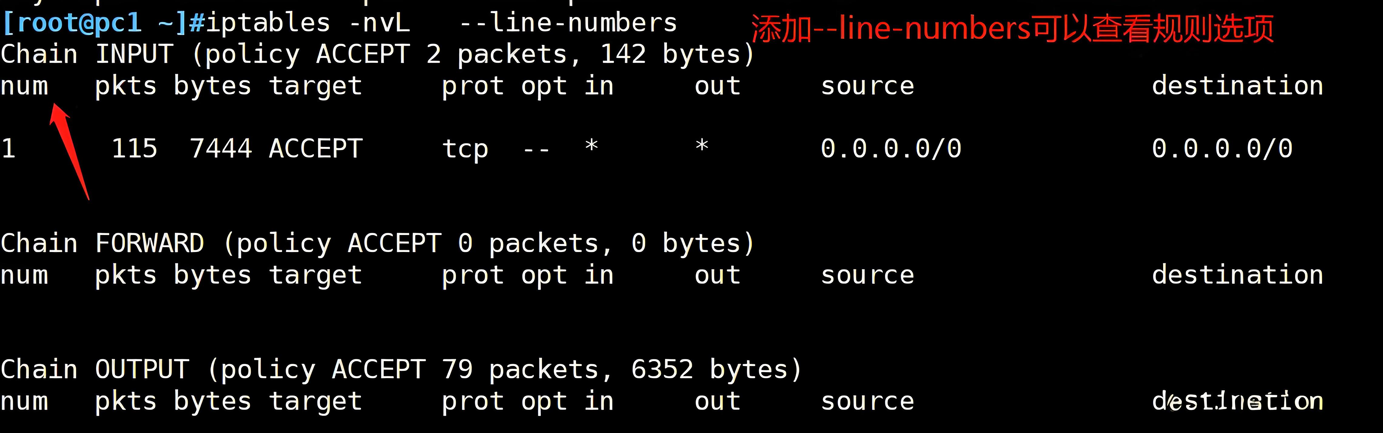数字化显示规则表，多用于和-n  -L选项配合看表